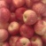 陕西铜川，自家苹果🍎农家肥料，不催熟，不打蜡，自然成