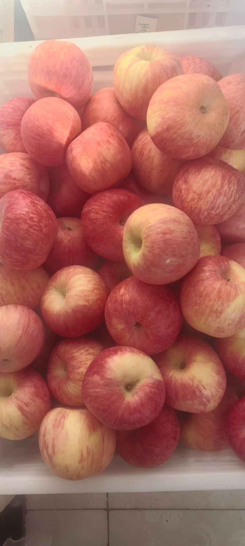 陕西铜川，自家苹果🍎农家肥料，不催熟，不打蜡，自然成