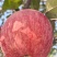 陕西铜川，自家苹果🍎农家肥料，不催熟，不打蜡，自然成
