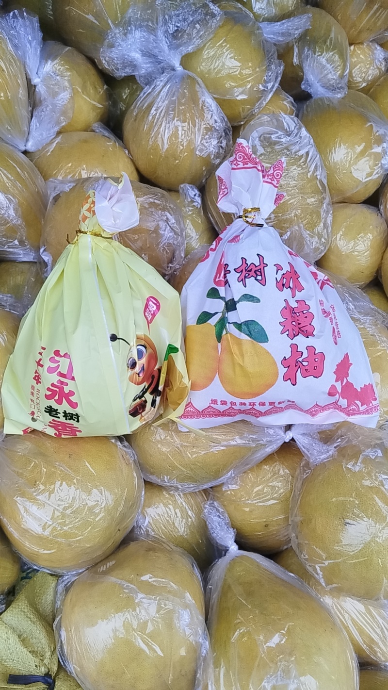 江永香柚