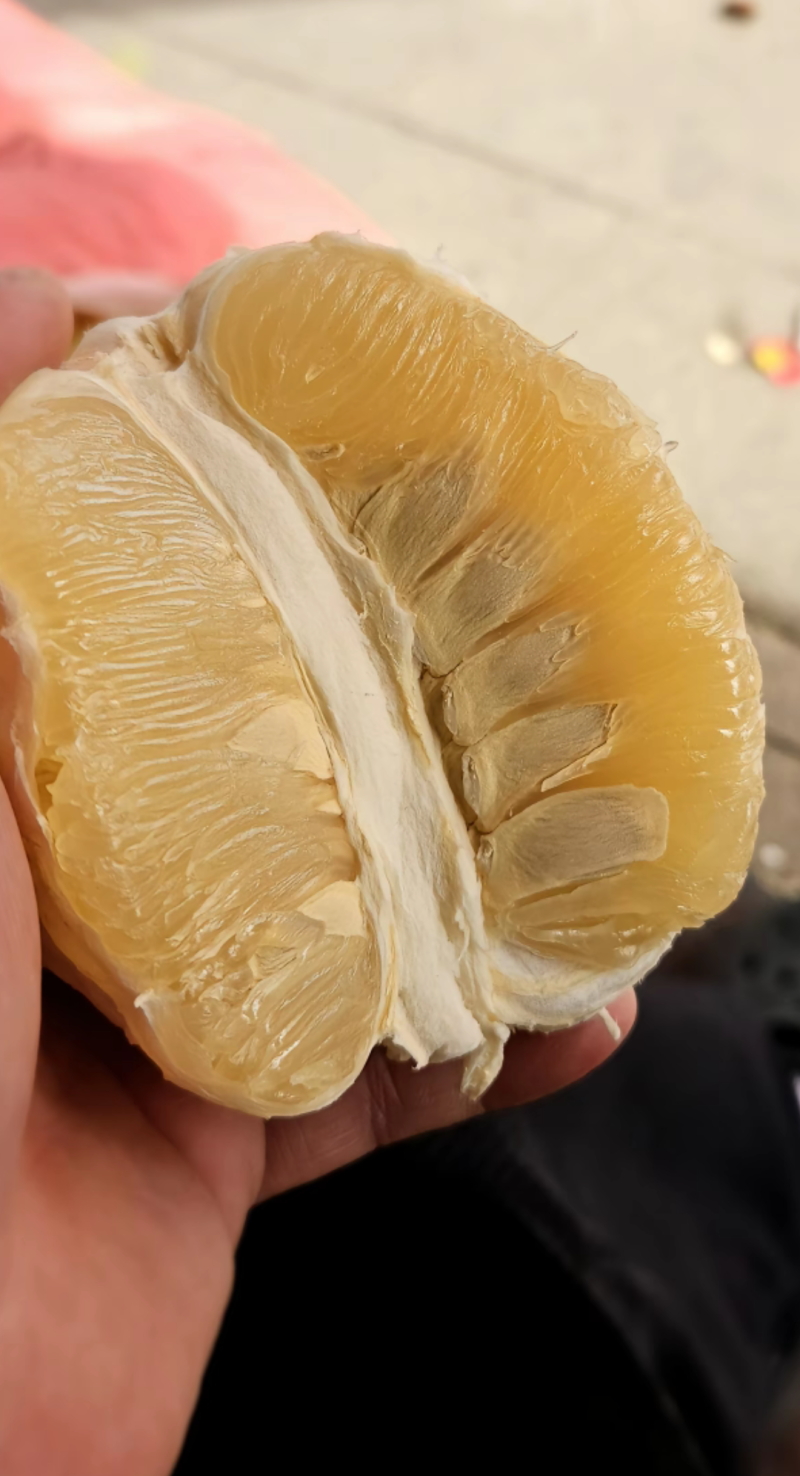 梅州沙田柚