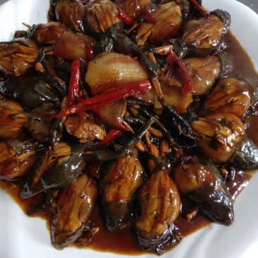 林蛙，