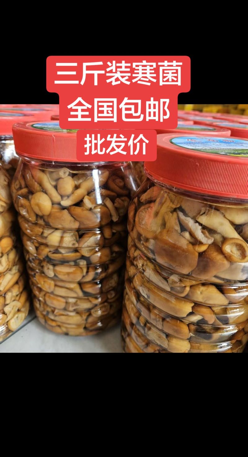 枞树菌桶装（一桶3斤装）