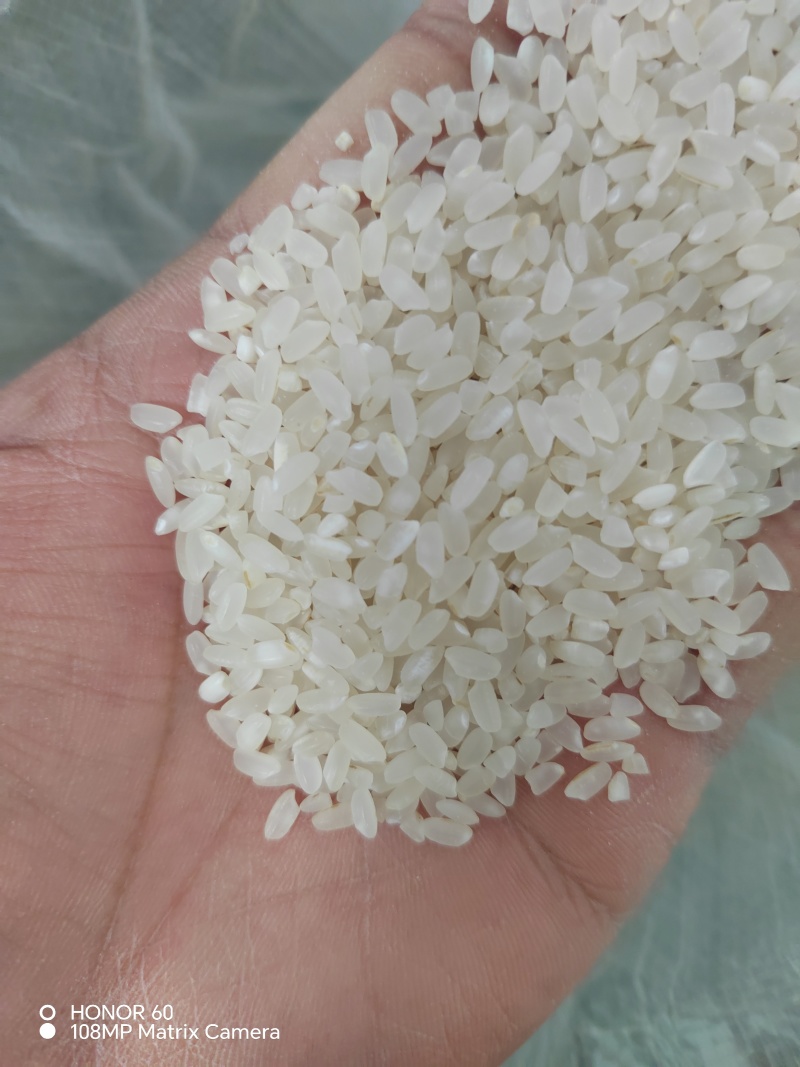 长年稳定供应天津小站稻长粒香大米