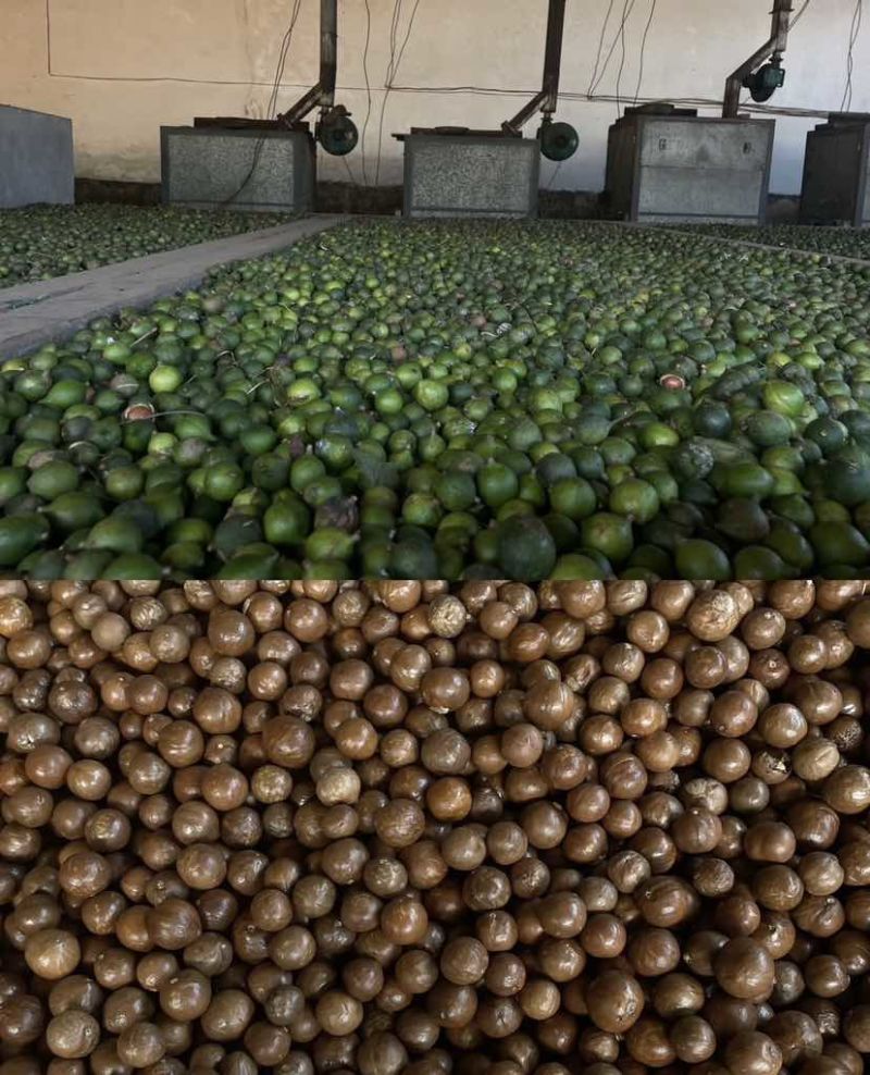 夏威夷果新货，现货充足，规格齐全，支持电商一件代发，批发