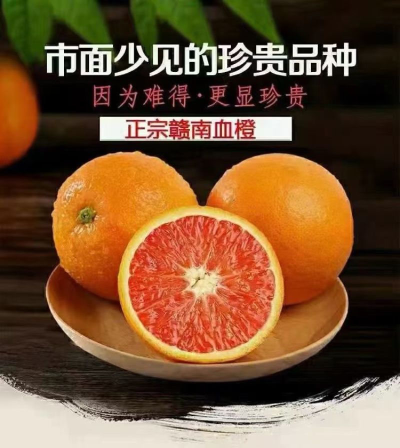 江西赣南脐橙