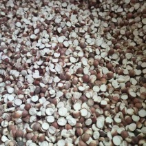 产地直销芡实鸡头米药食两用养生原料量大价优长期批发50斤