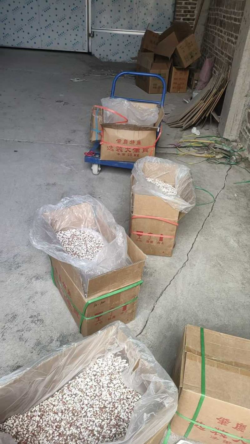 产地直销芡实鸡头米药食两用养生原料量大价优长期批发50斤