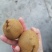 翠玉猕猴桃