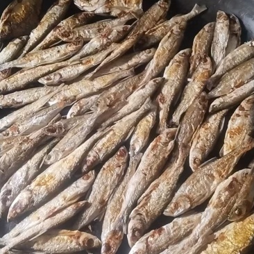 河鱼柴火煎鱼干炸鱼仔