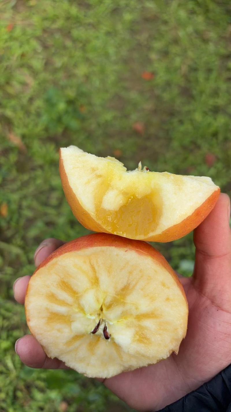 山西冰糖心苹果