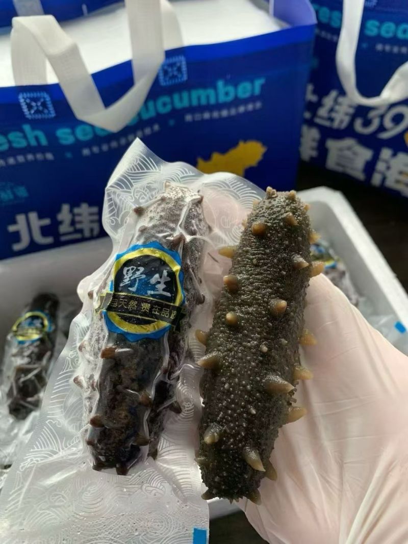 威海即食海参。真空包装，只要88！6-8头