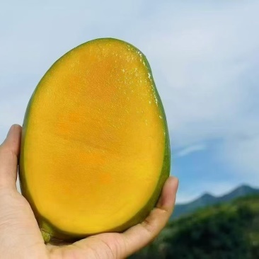 芒果🥭