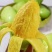 芒果🥭