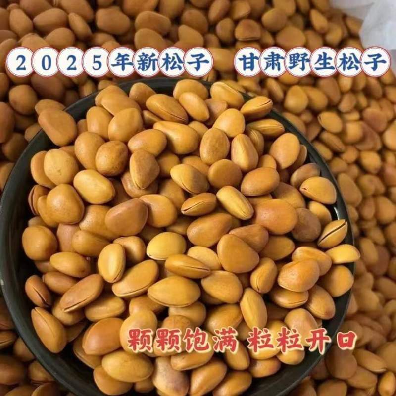 华山松子