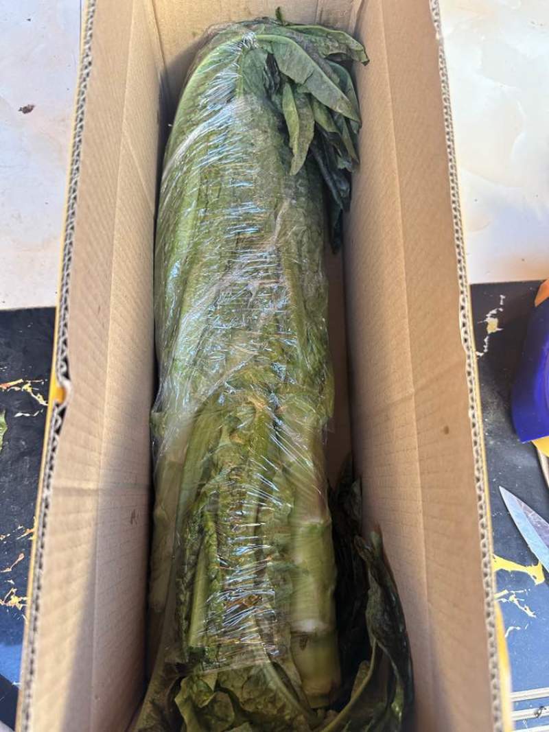 只做好品质速度来打爆我。