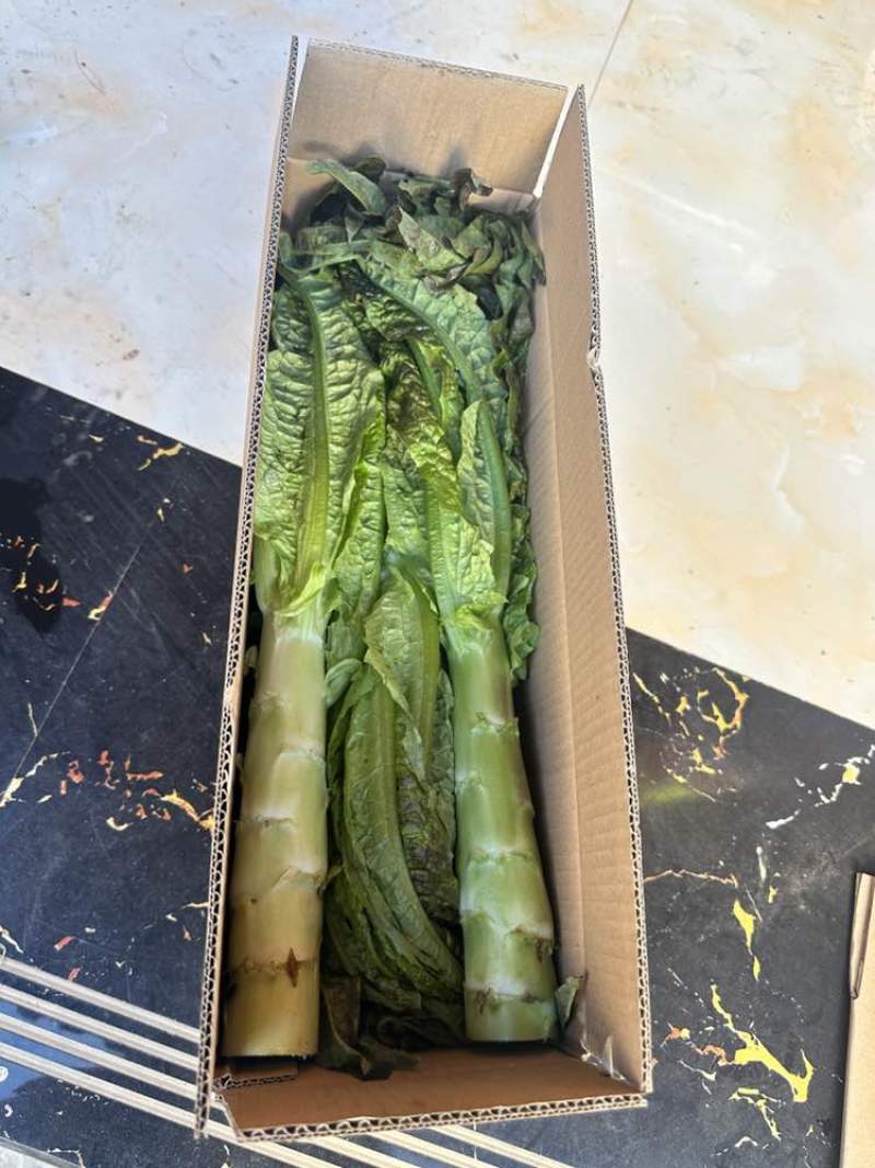 只做好品质速度来打爆我。