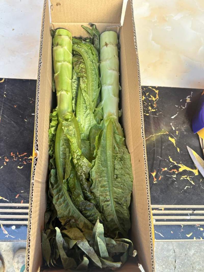 只做好品质速度来打爆我。