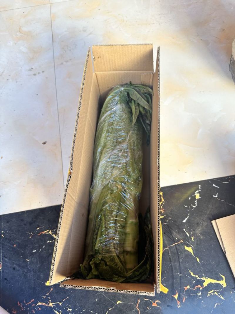 只做好品质速度来打爆我。