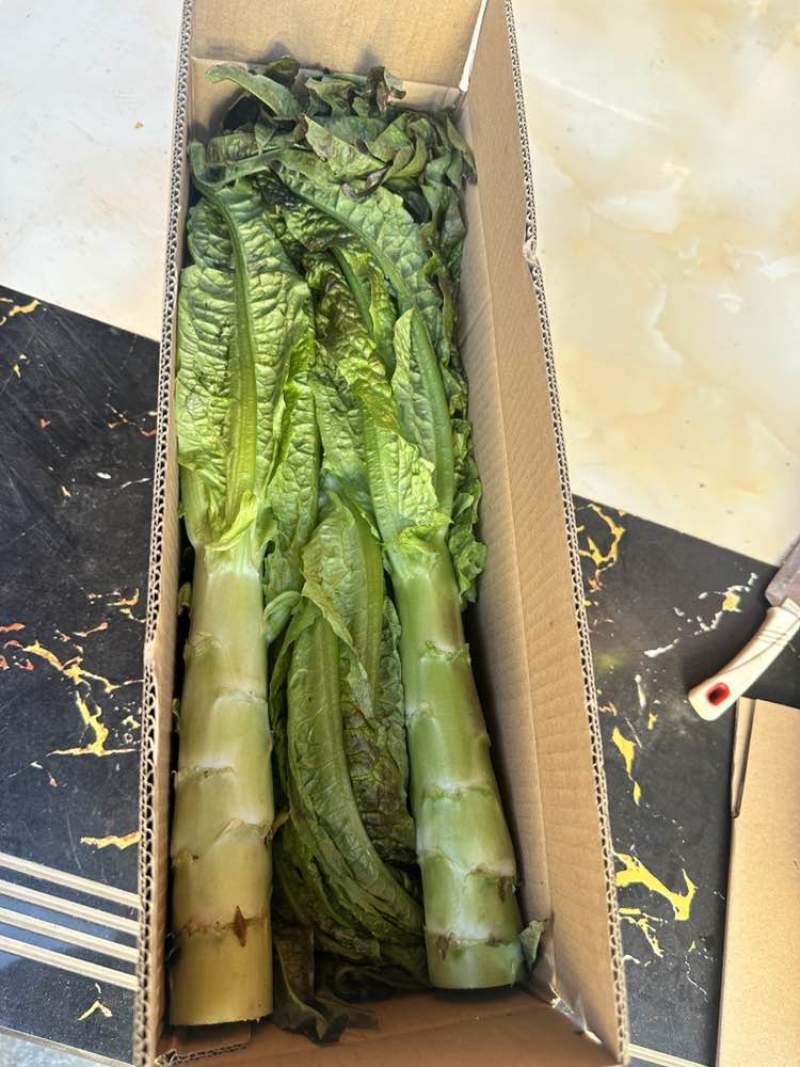 只做好品质速度来打爆我。