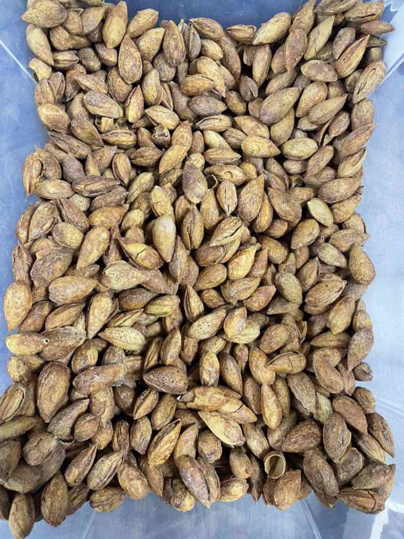 巴旦木刀果电商一件代发大货批发