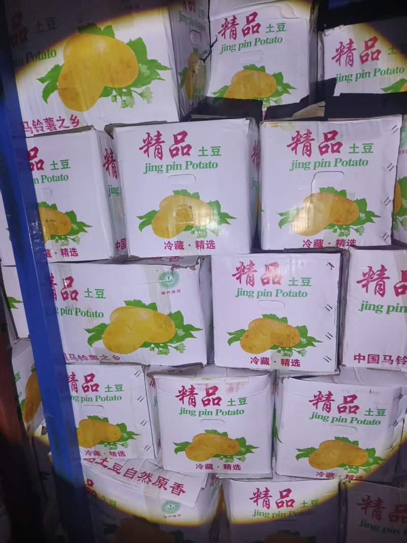 山东冷库土豆