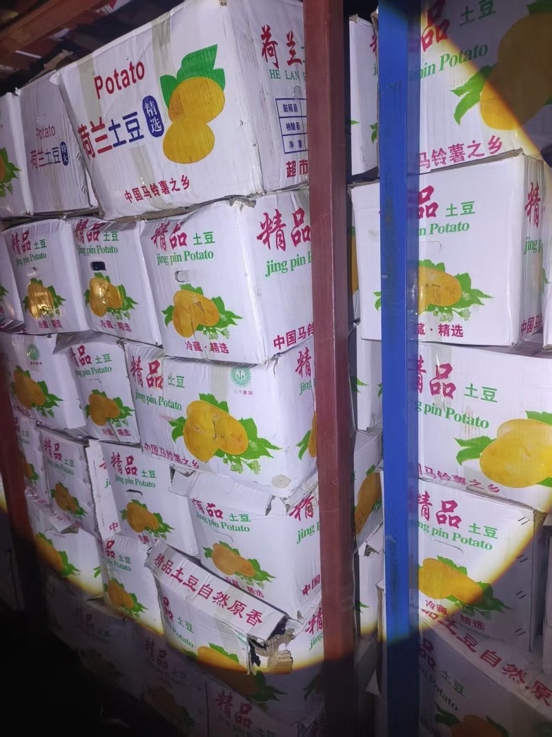 山东冷库土豆