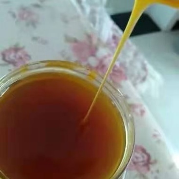 高山土蜂蜜