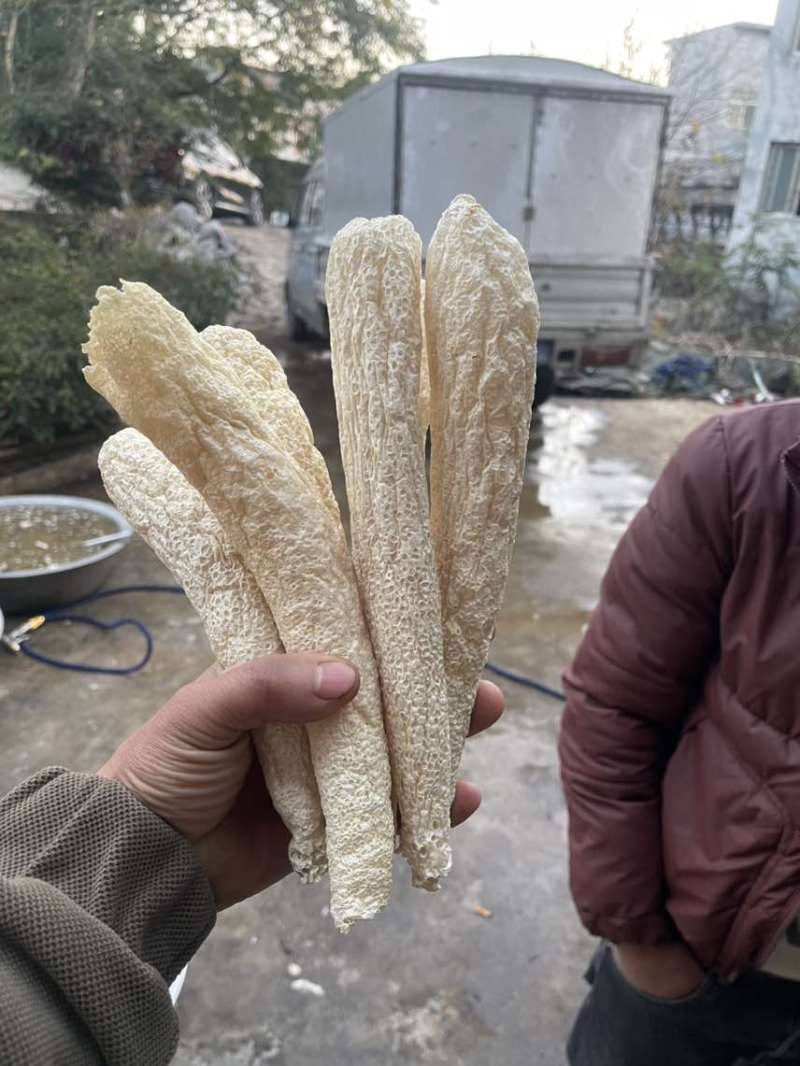 冬荪