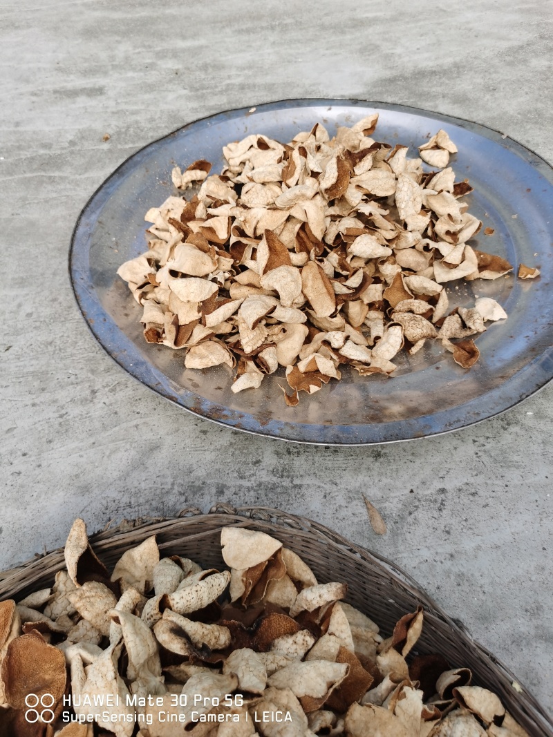 广东茶枝桔，也叫陈皮果，也有陈皮