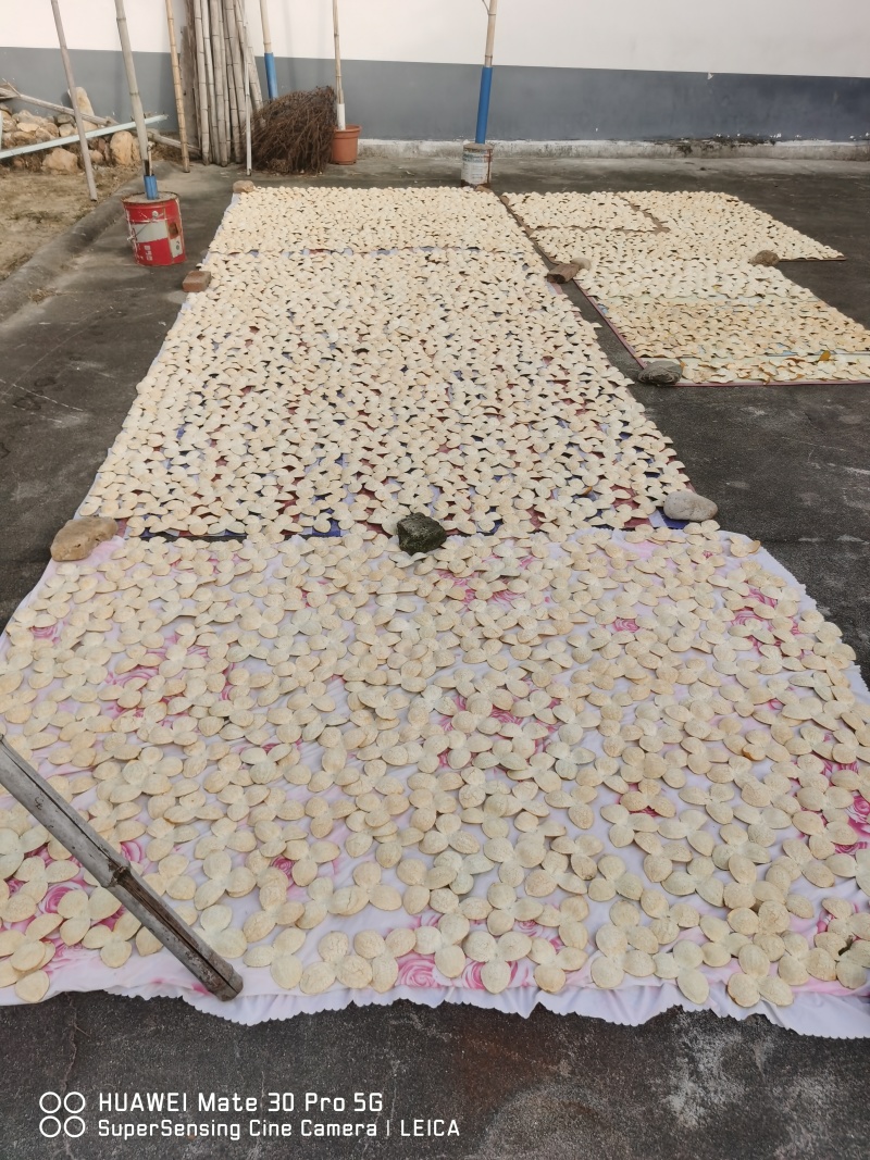 广东茶枝桔，也叫陈皮果，也有陈皮