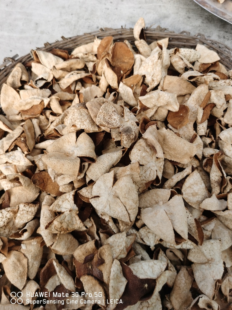 广东茶枝桔，也叫陈皮果，也有陈皮