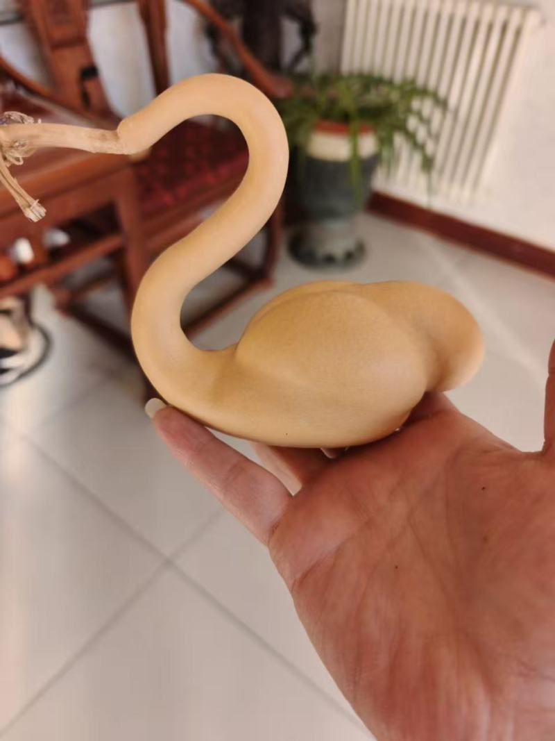 天鹅葫芦精品皮质醇厚表面光滑无瑕疵