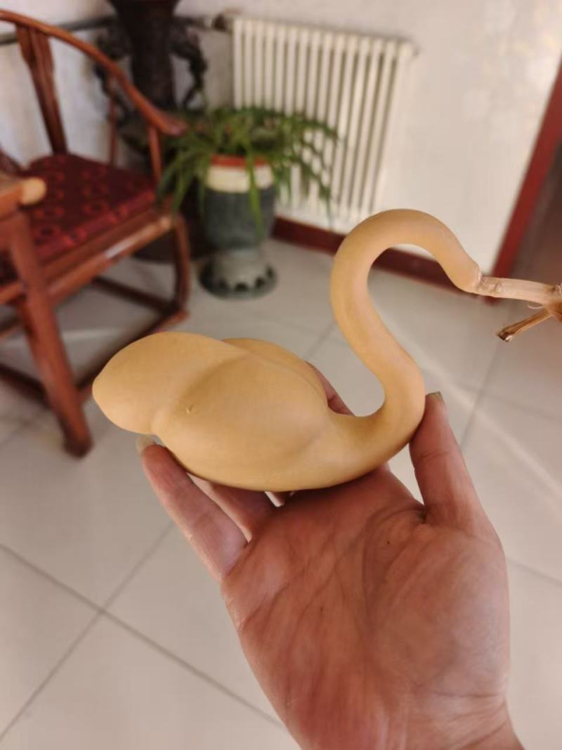 天鹅葫芦精品皮质醇厚表面光滑无瑕疵
