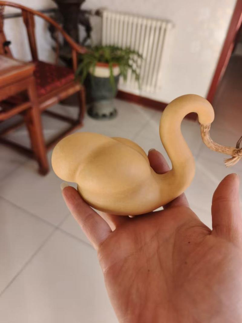 天鹅葫芦精品皮质醇厚表面光滑无瑕疵
