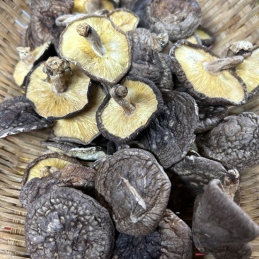 野生天然农家木炭香菇