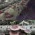 野生天然农家木炭香菇