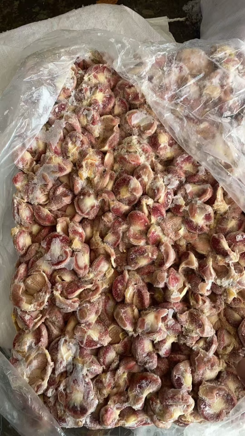 厂家老母鸡胗还有10吨
