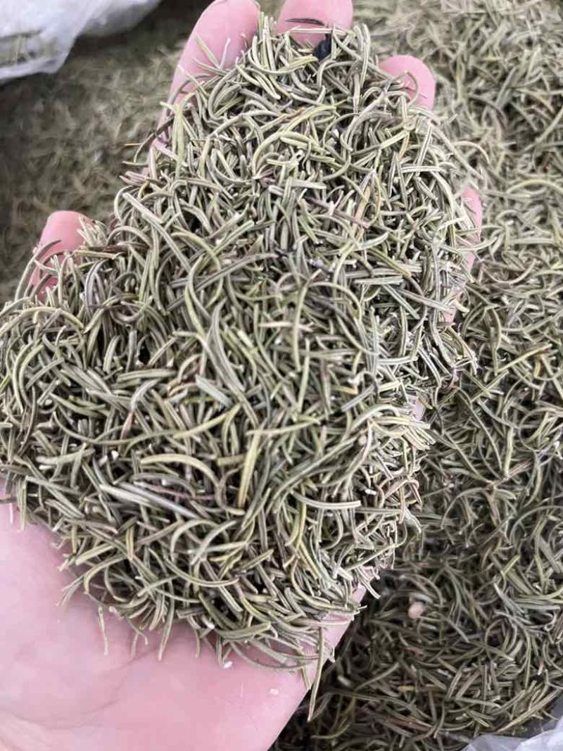 进口迷迭香批发调味料西餐调料长期批发量大价优牛扒西餐