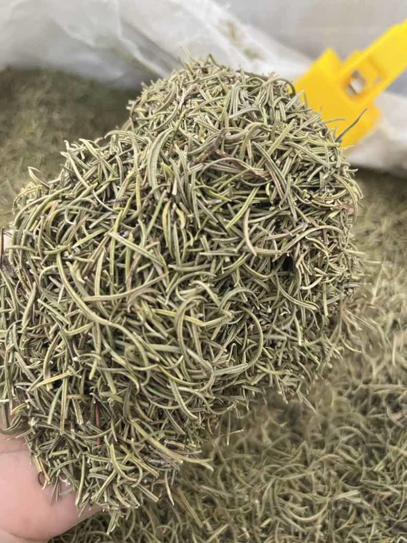 进口迷迭香批发调味料西餐调料长期批发量大价优牛扒西餐