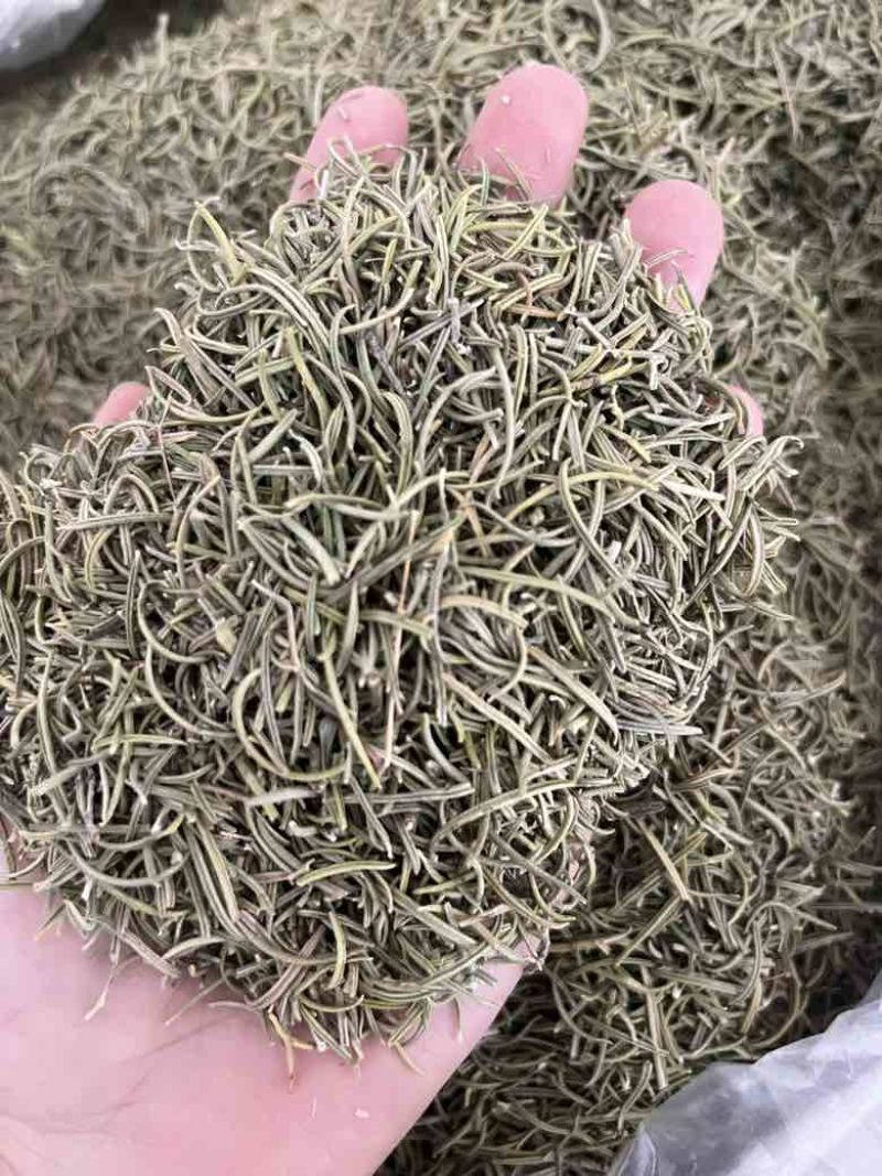 进口迷迭香批发调味料西餐调料长期批发量大价优牛扒西餐