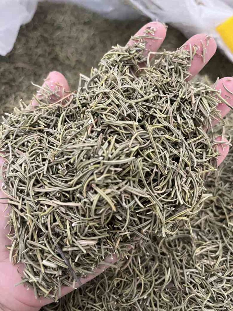 进口迷迭香批发调味料西餐调料长期批发量大价优牛扒西餐
