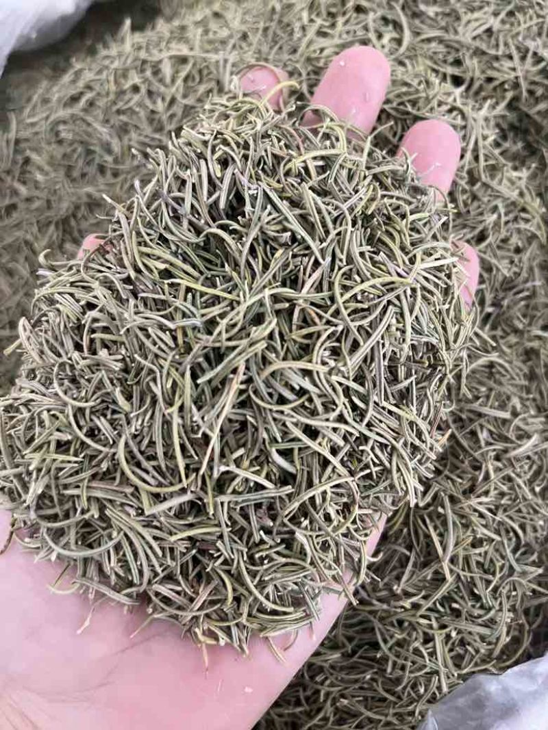 进口迷迭香批发调味料西餐调料长期批发量大价优牛扒西餐
