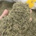 进口迷迭香批发调味料西餐调料长期批发量大价优牛扒西餐