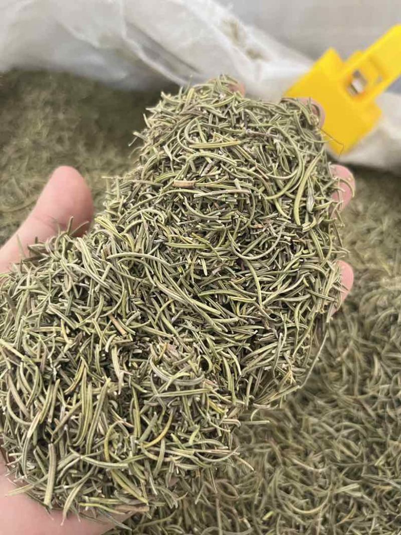 进口迷迭香批发调味料西餐调料长期批发量大价优牛扒西餐