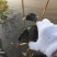 水产螃蟹