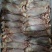 乳牛腱子肉