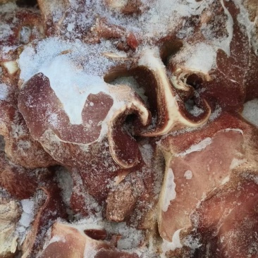 生牛鼻子头