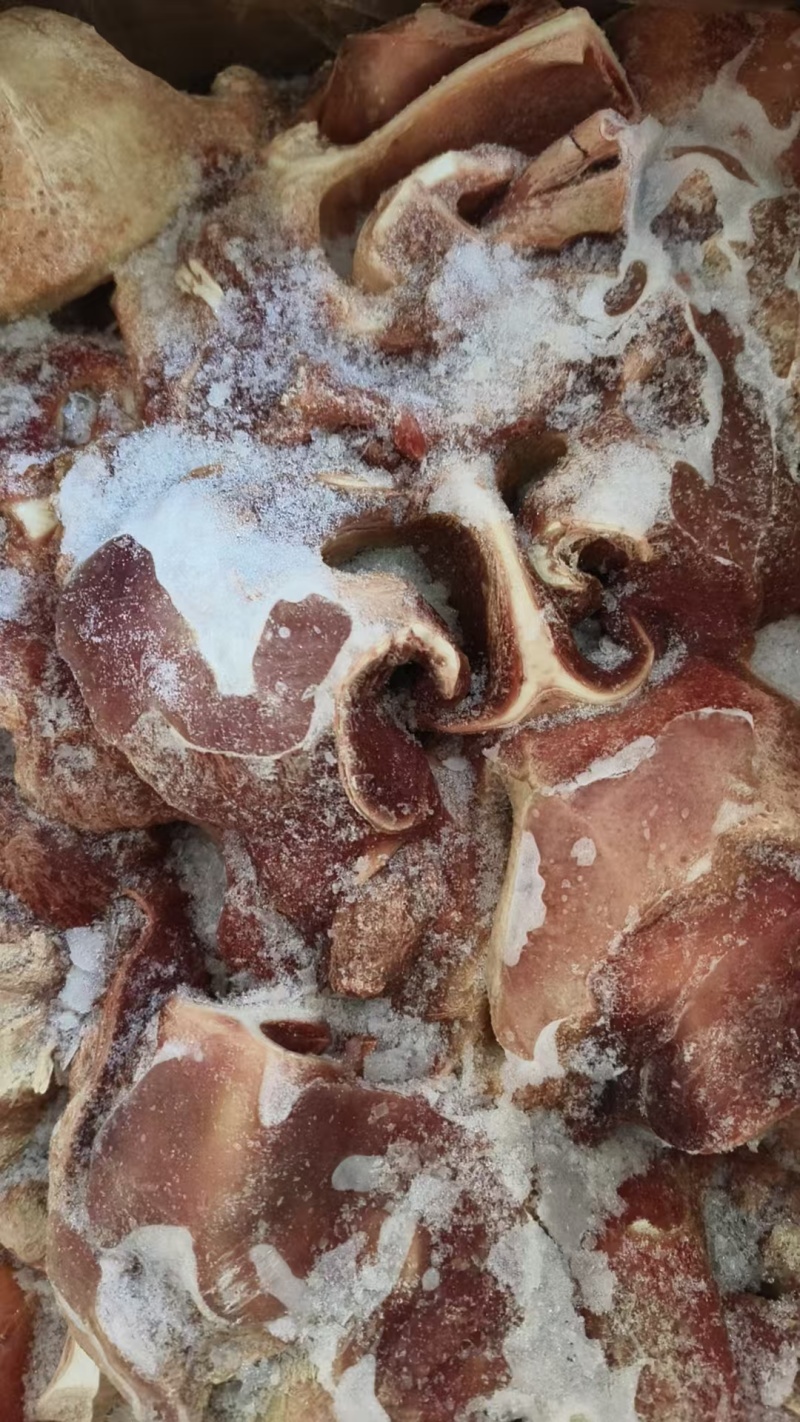 生牛鼻子头