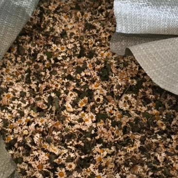干菊花，北京菊，金丝皇菊，生脱，杀青都有